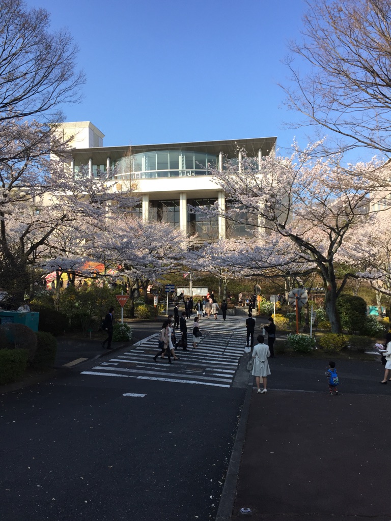 2015年４月の桜